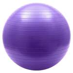 FBA-65-4 Мяч гимнастический Anti-Burst 65 см (фиолетовый)