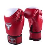 Перчатки боксерские RBG-100 Dx Red (14 oz)
