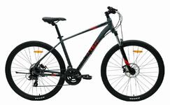 Велосипед TechTeam Neon 29"х21 серый